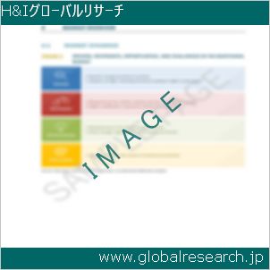 グローバルリサーチ調査レポートのイメージ